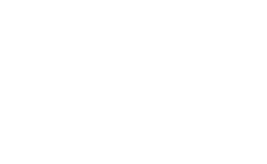 Damianwerner Logo