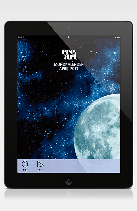 Screen iPad 1