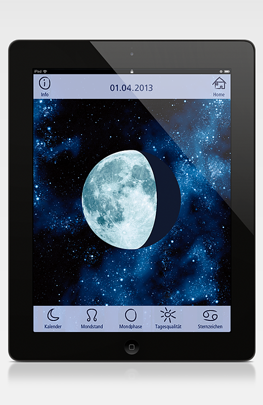 Screen iPad 2